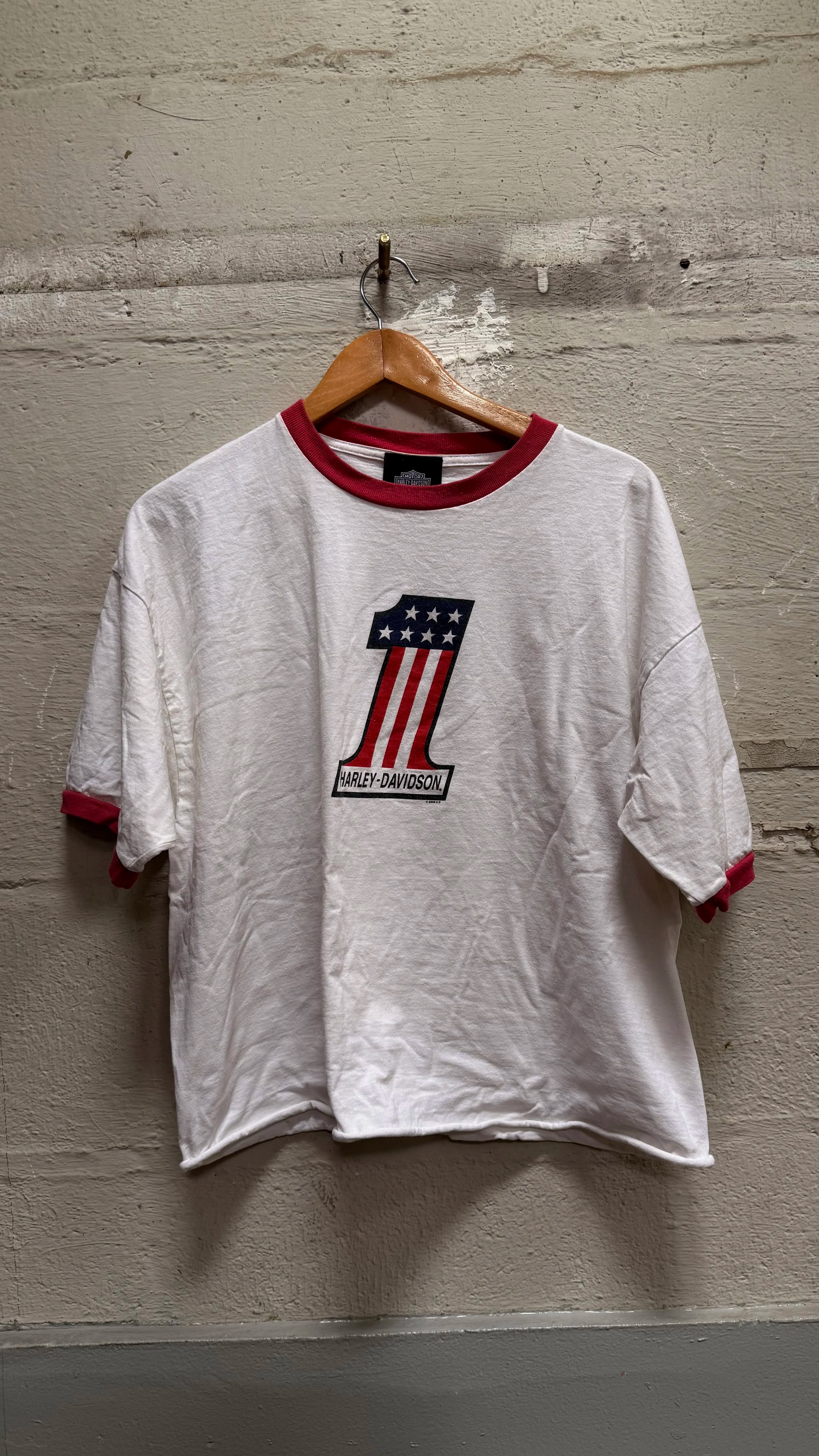 Vintage Harley-davidson T-shirt (ringer)