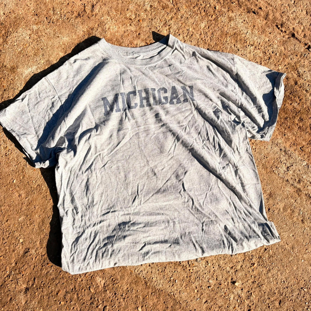 Vintage Boxy Grey Michigan Spellout Tee
