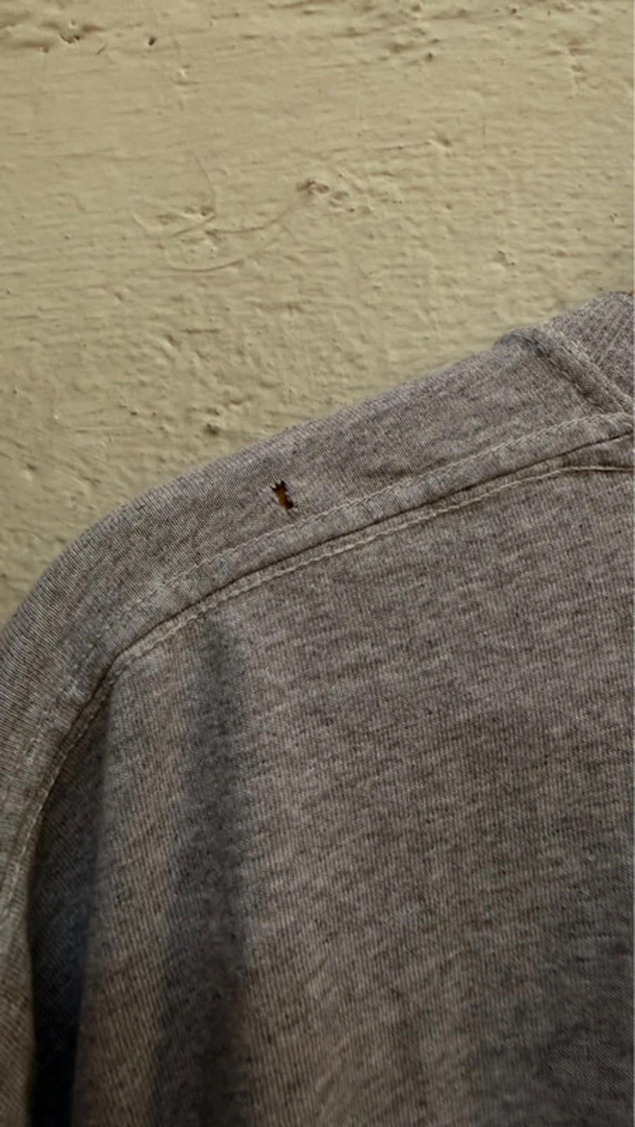 Vintage Powell Peralta T-shirt